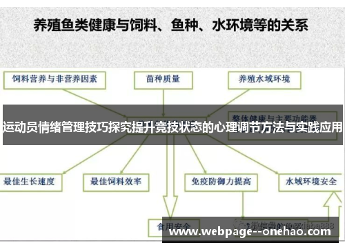 运动员情绪管理技巧探究提升竞技状态的心理调节方法与实践应用